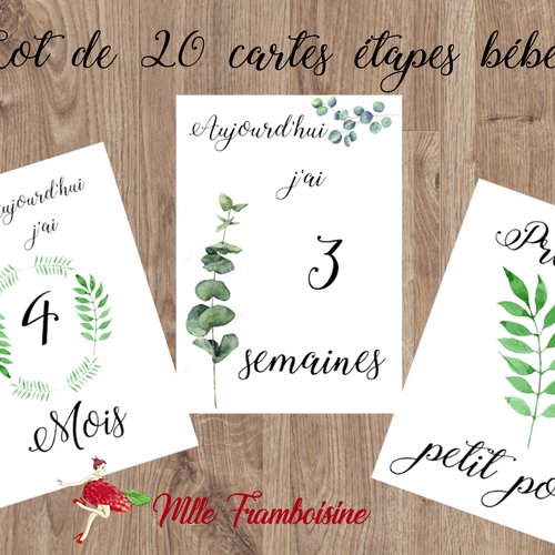Carte Étape Bébé Bois en Français Naissance Carte Mois par Mois