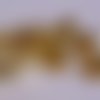 20 calottes en métal doré 8x6.5 mm - beads caps