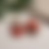 Boucles d'oreilles tropicales rouges