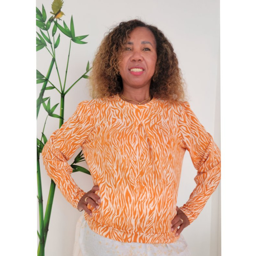 Pulls zebra manches longues