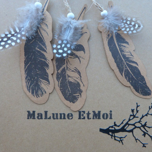 Plumes en kraft