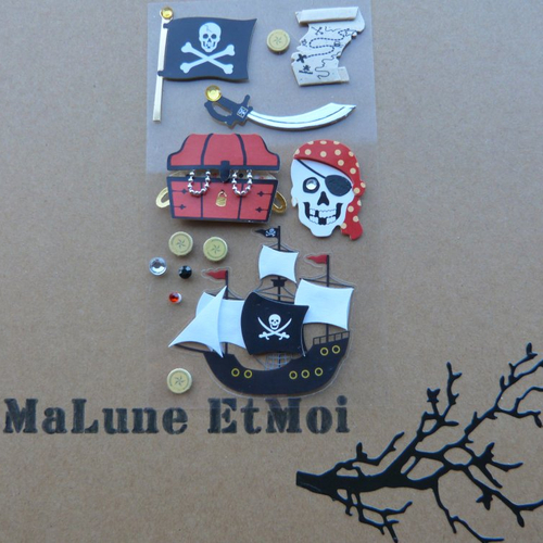 Stickers 3d "pirate"