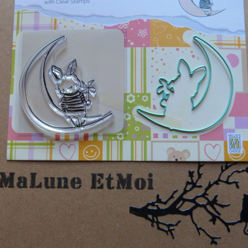 Die et tampon lapin sur la lune