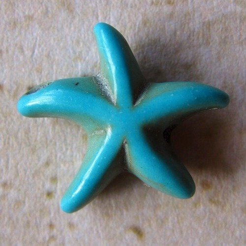 Lot de 2 perles- howlite - étoile ( turquoise )