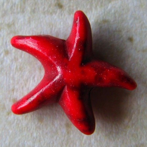 Lot de 2 perles- howlite - étoile ( rouge )