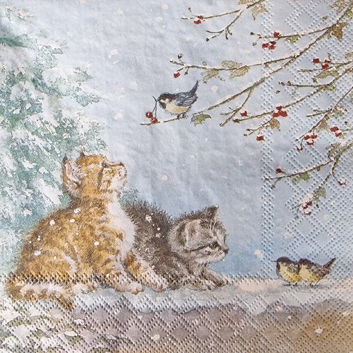 Lot de 2 serviettes en papier - en attendant les oiseaux - chats