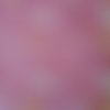 Tissu patchwork  - papillon  - coupon 45 x 55 cm