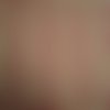 Tissu patchwork - savannah -  coupon 45 x 55 cm