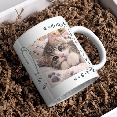 Mug chat