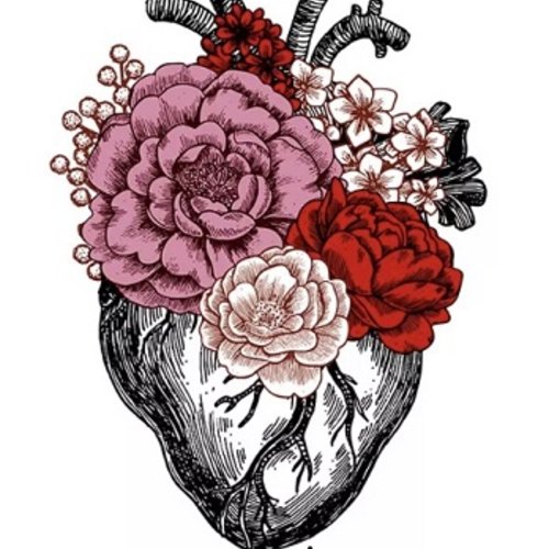 Transfert "cœur anatomique en fleurs" - 19cm
