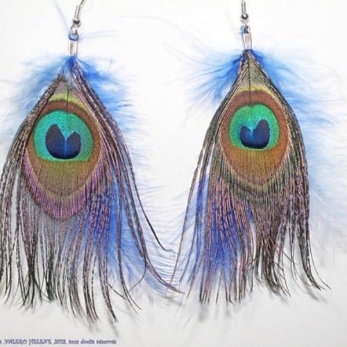 Boucles d'oreilles plumes de paon naturelles, marabout bleu