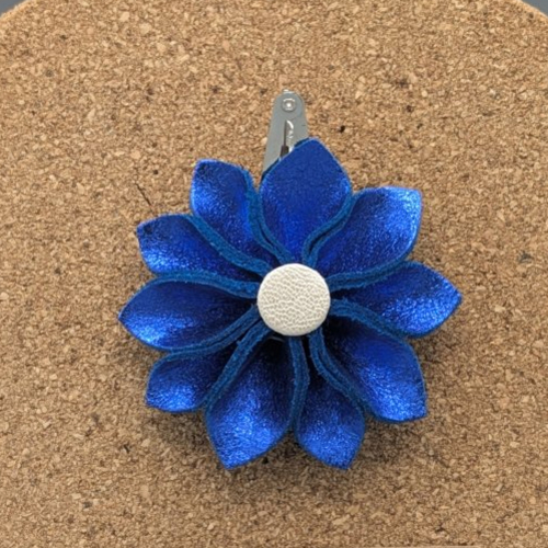 Barrettes à cheveux