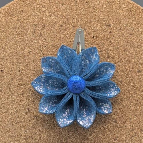 Barrettes à cheveux