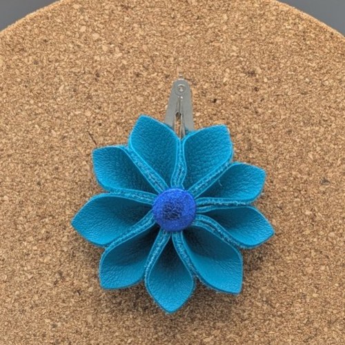 Barrettes à cheveux