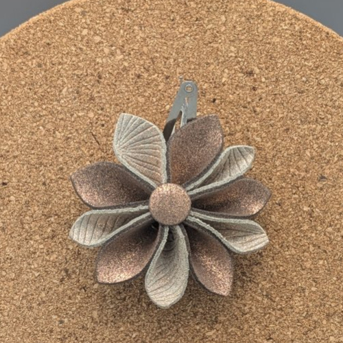Barrettes à cheveux