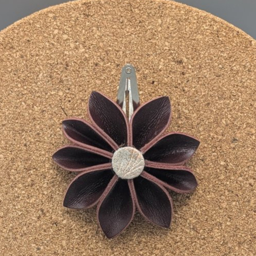 Barrettes à cheveux