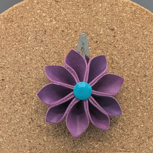 Barrettes à cheveux