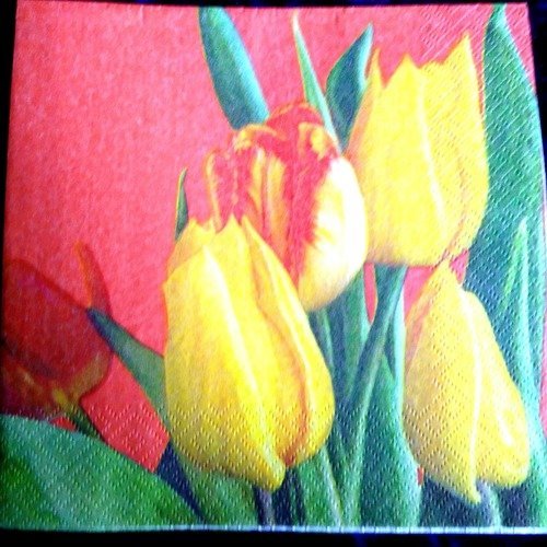 Serviette papier/napkin "tulipe"