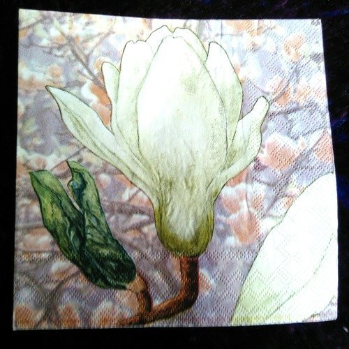 Serviette papier "magnolia"