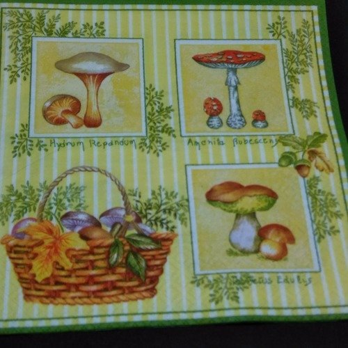 Serviette papier/napkin  "champignon"