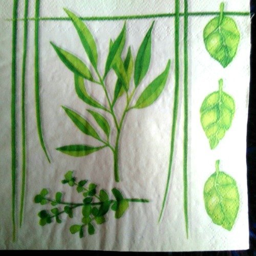 Serviette papier "herbes aromatiques" 