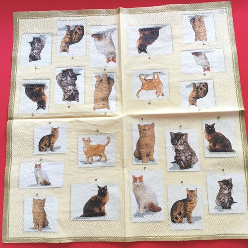 Serviette papier/napkin : "vignettes de chats et chatons différente races"