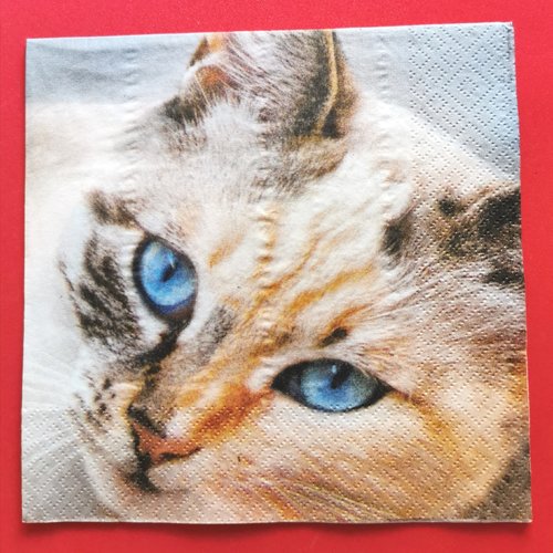 Serviette papier/napkin : "le chat aux yeux bleus"
