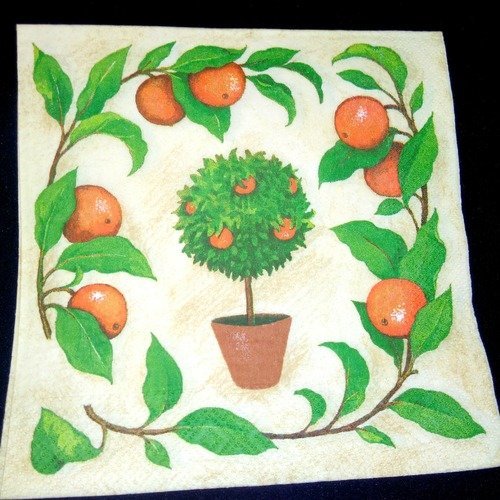 Serviette papier/napkin  fruit  "orange, oranger en poterie"
