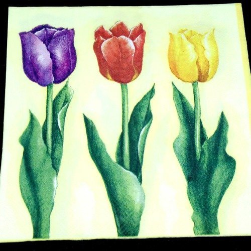 Serviette papier/napkin "tulipe" 