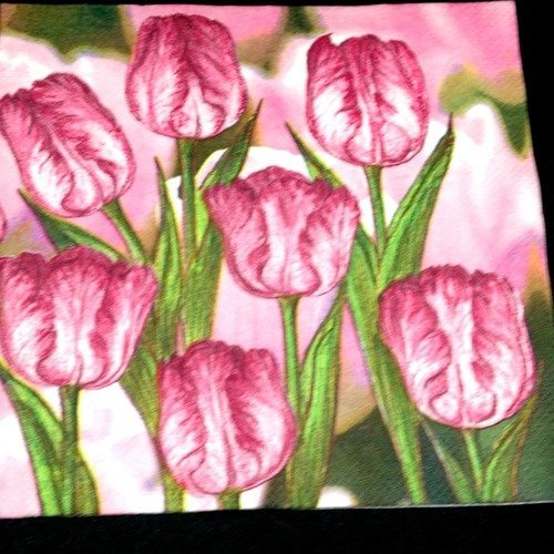 Serviette papier/napkin  "tulipe" 