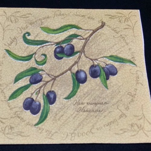 Serviette papier/napkin  "olive noire, branche d'olivier"