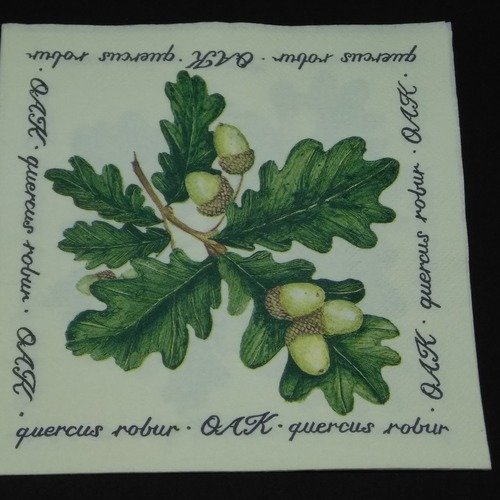 Serviette papier/napkin  "feuilles de chêne, glands"