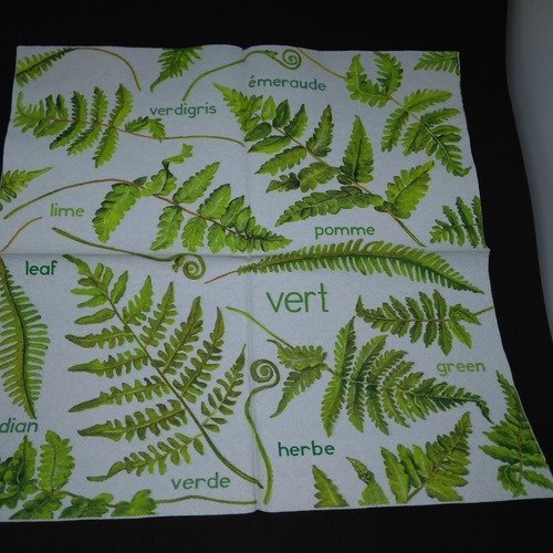 Serviette papier/napkin "feuilles de fougères" 