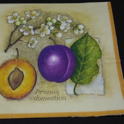 Serviette papier/napkin   "prune, feuilles et fleurs" 