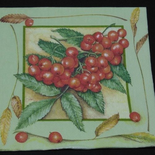 Serviette papier/napkin   "groseilles et feuilles" 