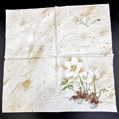 Serviette papier/napkin  "mona svärd, winterrose/christrose", rose de noël