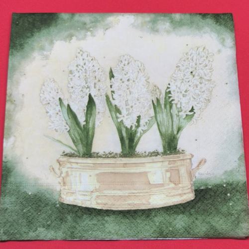 Serviette papier/napkin  "mona svärd, hyacint",jacinthes blanches en balconnière