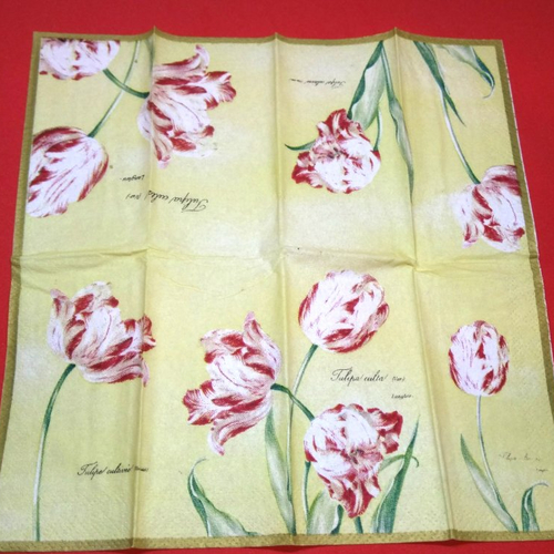 Mouchoir en papier "tulipes" 