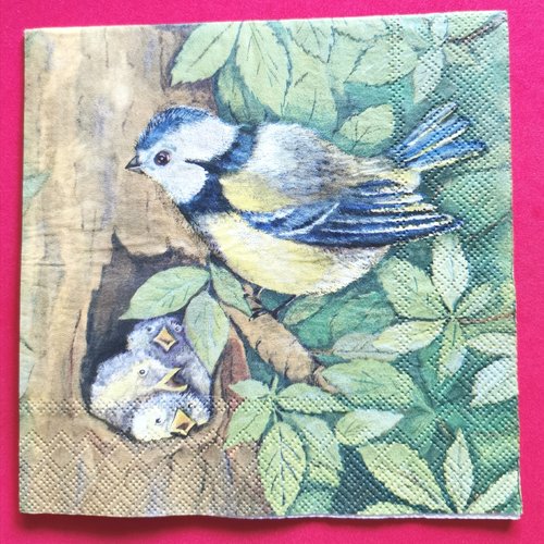 Serviette papier/napkin: "oiseaux, oisillons, trou dans le tronc d'arbre, feuilles"