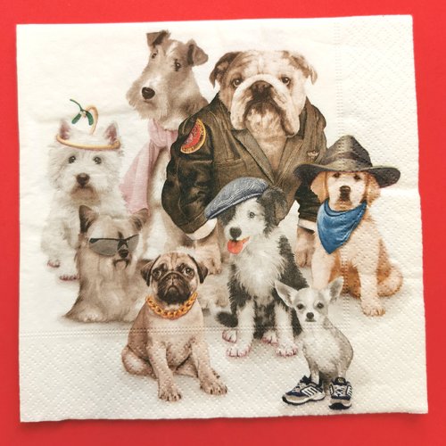 Serviette papier/napkin: "chiens, westi, carlin, chihuahua, yorkshire, labrador, bulldog anglais"