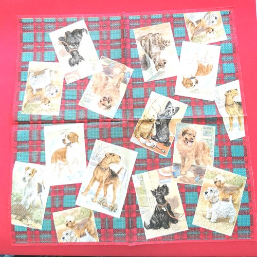 Serviette papier/napkin: "chiens, st bernard poils courts, fox terrier, scottich, westi, border terrier, fond écossais rouge"