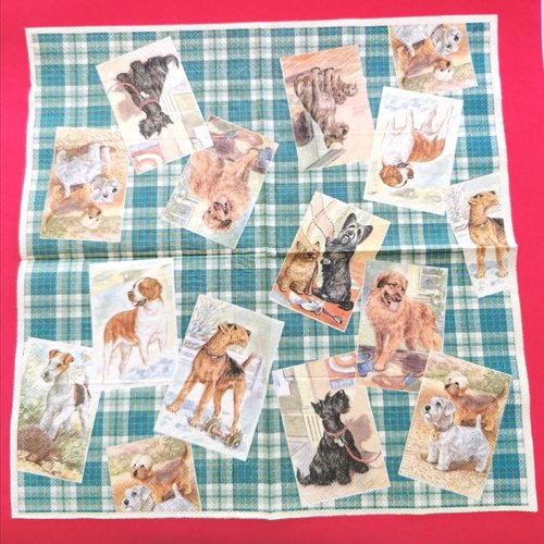 Serviette papier/napkin: "chiens, st bernard poils courts, fox terrier, scottich, westi, border terrier, fond écossais rouge"
