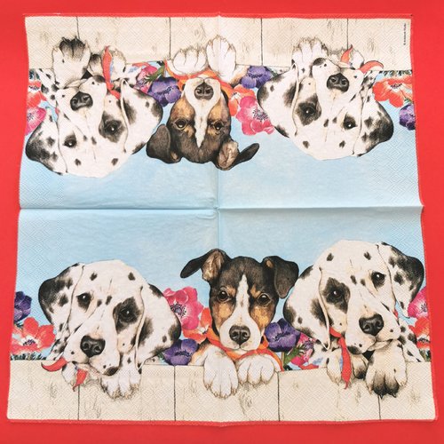 Serviette papier/napkin: "chiens, chiot dalmatien, jack russel terrier"