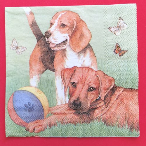 Serviette papier/napkin: "chiens, beagle, braque"