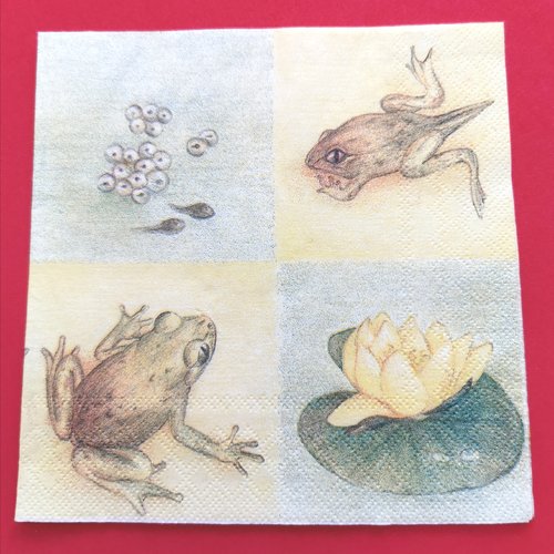 Serviette papier/napkin: "grenouilles, œufs de grenouille, têtards, fleur de nénuphar"