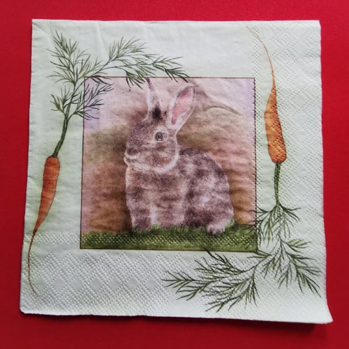 Serviette papier/napkin : "lapins, carottes"
