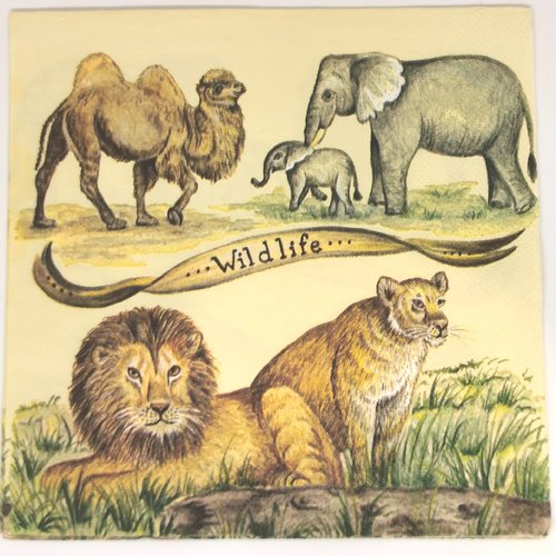 Serviette papier/napkin : "lions, lionne, chameau, éléphant, éléphanteau"