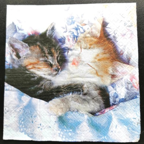 Serviette papier/napkin : "chatons"