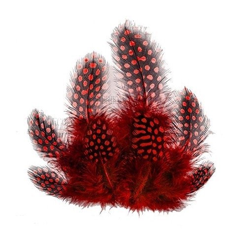 10 plumes décoration, scrapbooking fabrika décoru rouge