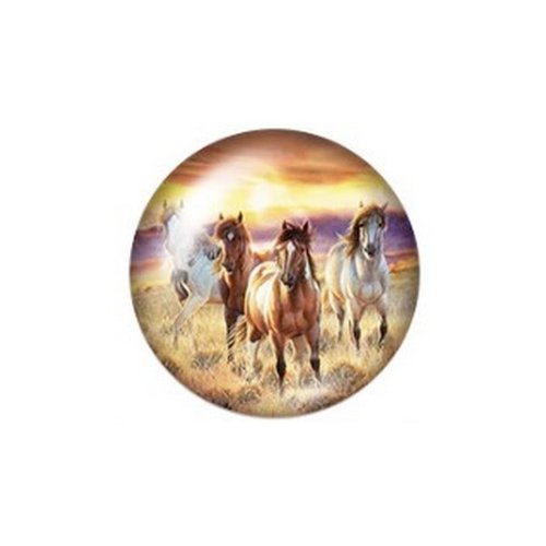 1 cabochon rond en verre fabrication bijoux décoration 25 mm chevaux prairie